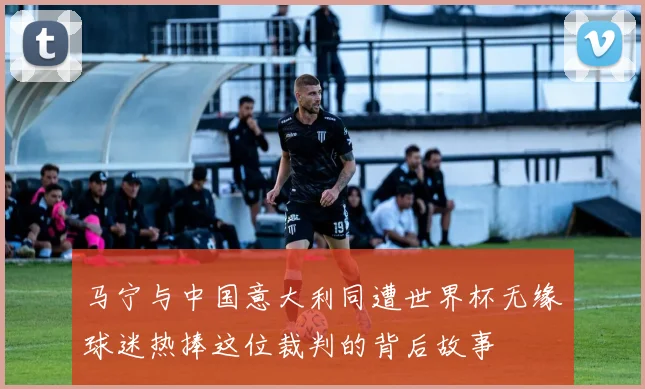 马宁与中国意大利同遭世界杯无缘球迷热捧这位裁判的背后故事