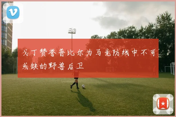 戈丁赞誉普比尔为马竞防线中不可或缺的野兽后卫